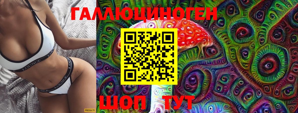 Псилоцибиновые грибы GOLDEN TEACHER  Вход с VPN  Грязи  Псилоцибиновые грибы Cubensis 